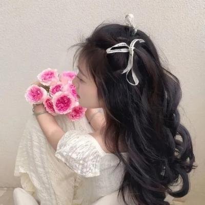 蜘蛛与郁金香